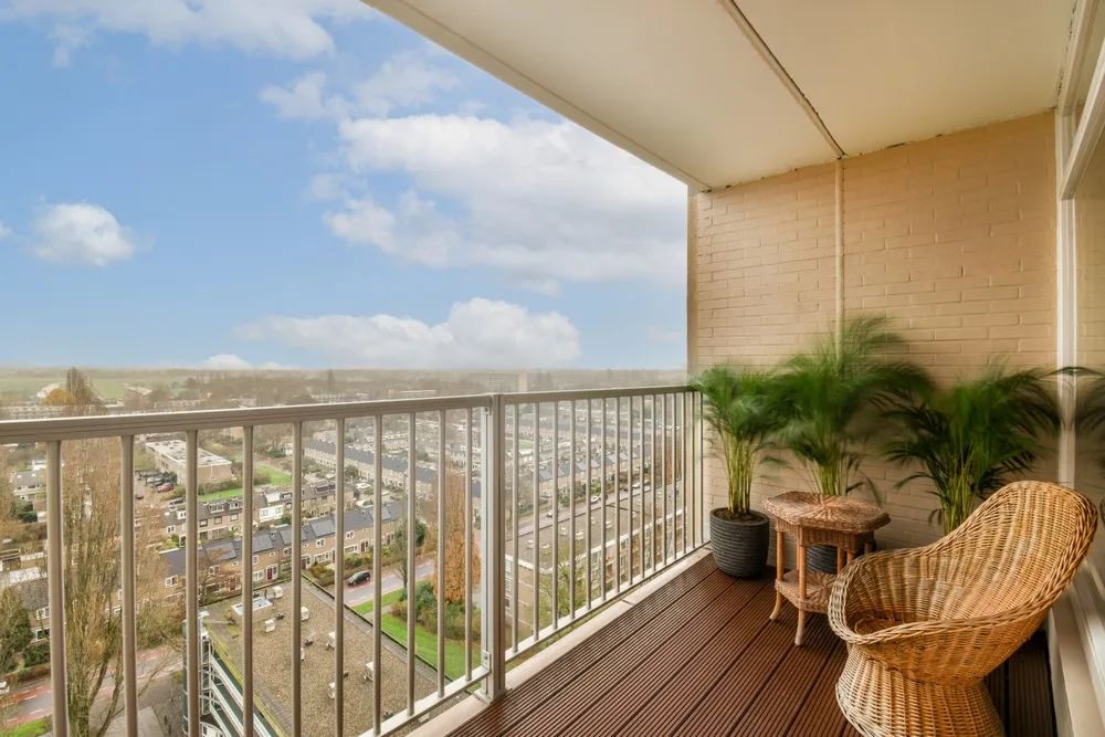 Rüzgârlı Balkon İçin Saksı Bitkisi Seçme Rehberi