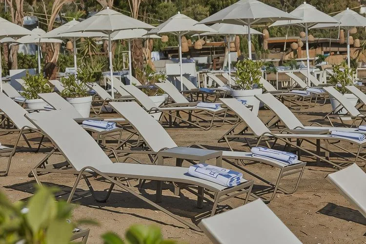 Which Dedeman Hotel in Turkey Matches Your Travel Plans?