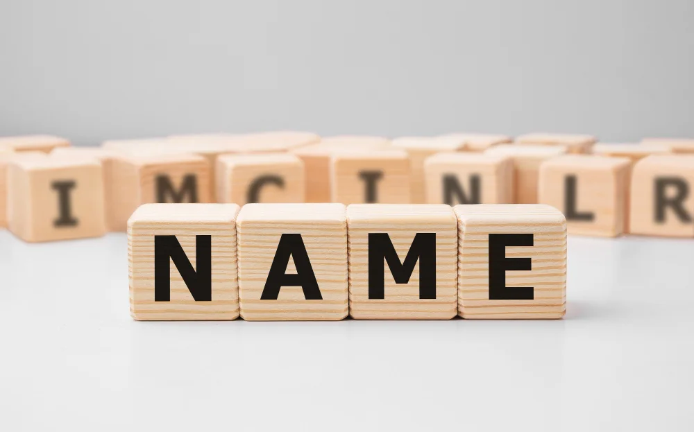 What If Someone Has Only One Name? Designing Forms for Mononyms Without Fake Surnames