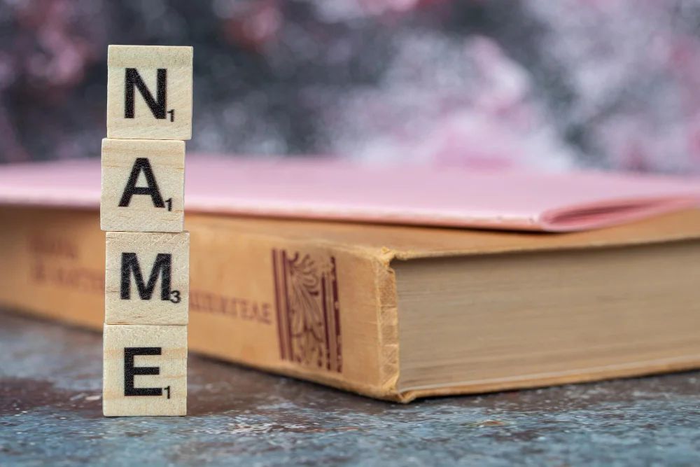First Name, Last Name Is Not Universal: How Software Should Store and Display Personal Names