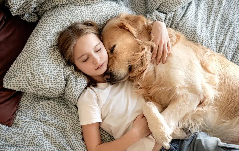 Pet-Safe Cleaning Is More Than Buying a 'Natural' Spray